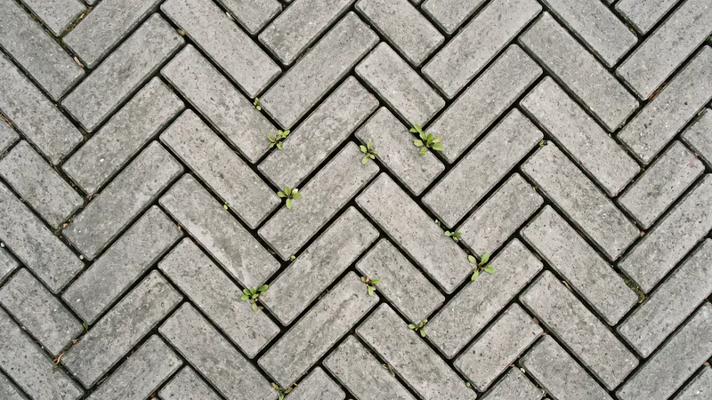 Top-down view of grey herringbone paving where the sand has washed out of the joints, leaving open dark gaps with small weed seedlings in them