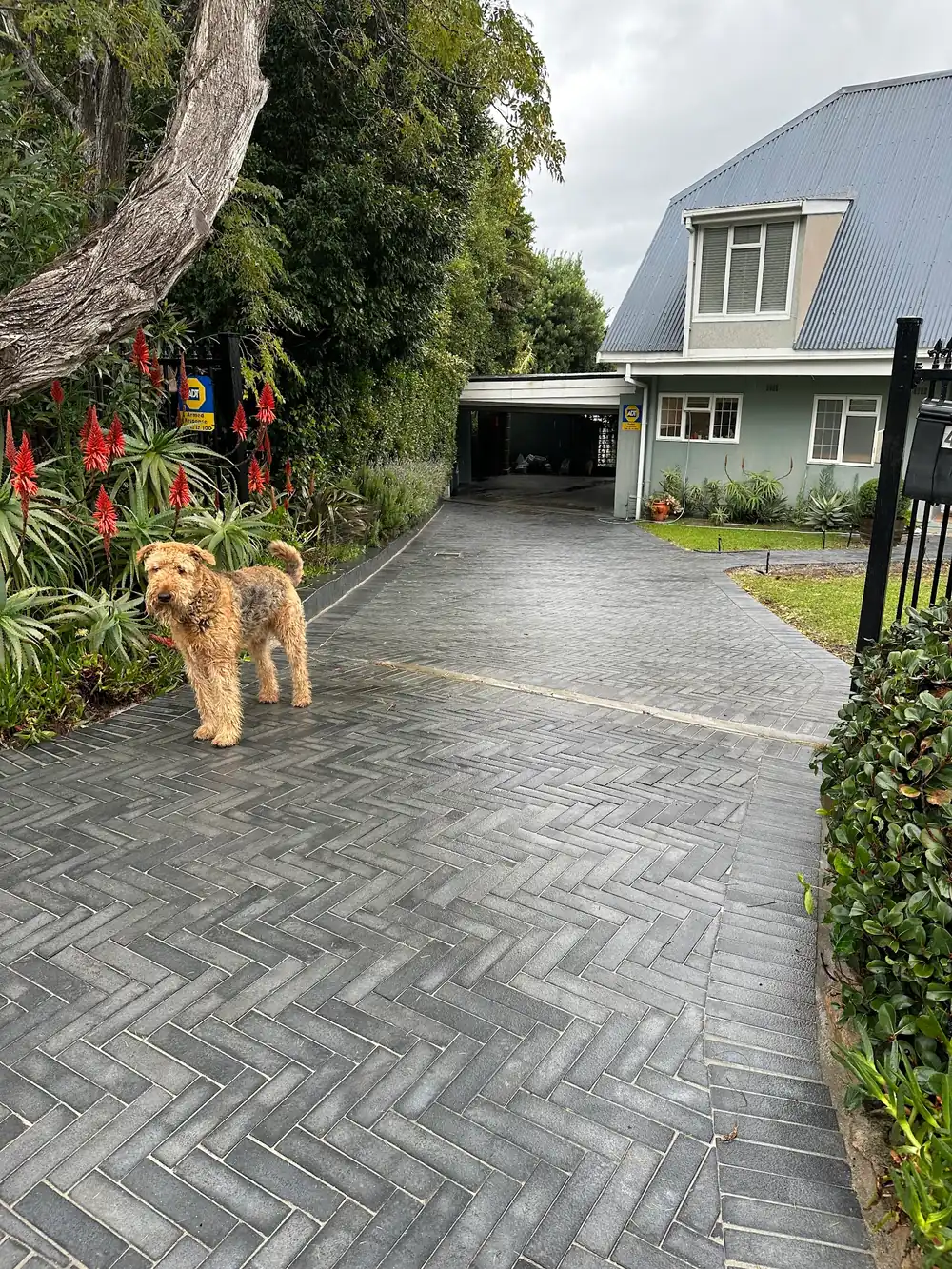 Paving work by Boss Paving — photo 3