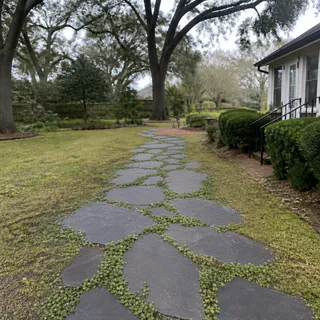 Slate stepping stones